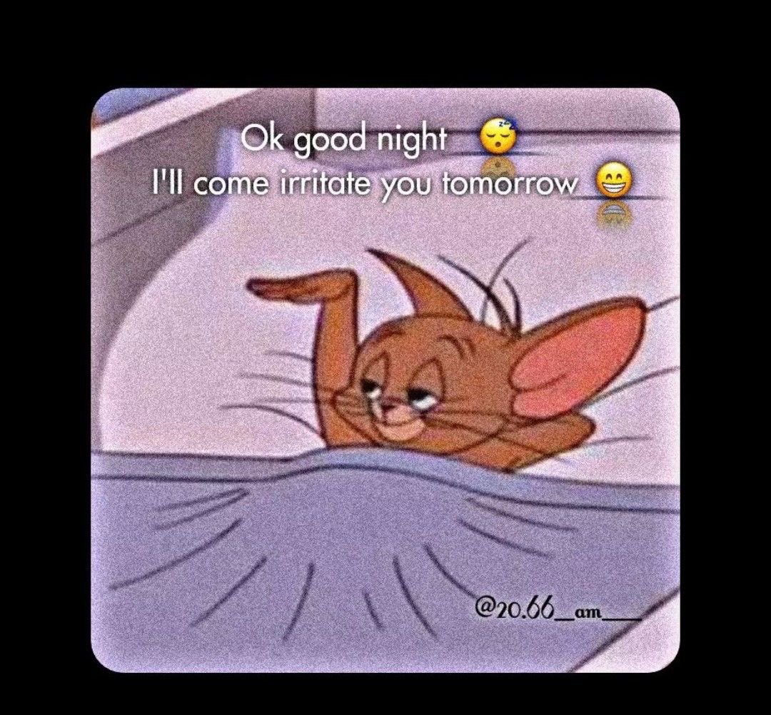 Missy Emporium 🎀 tweet media