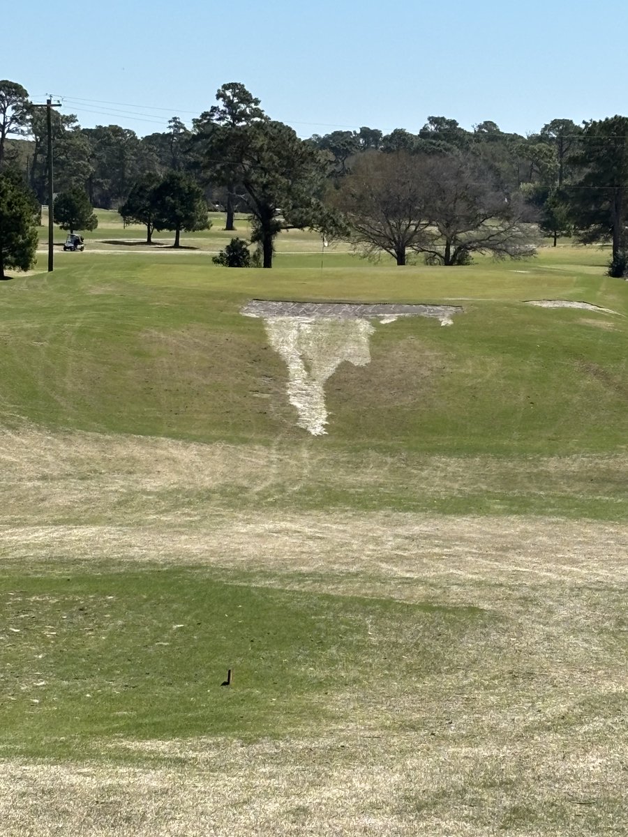 RBolt Golf tweet media