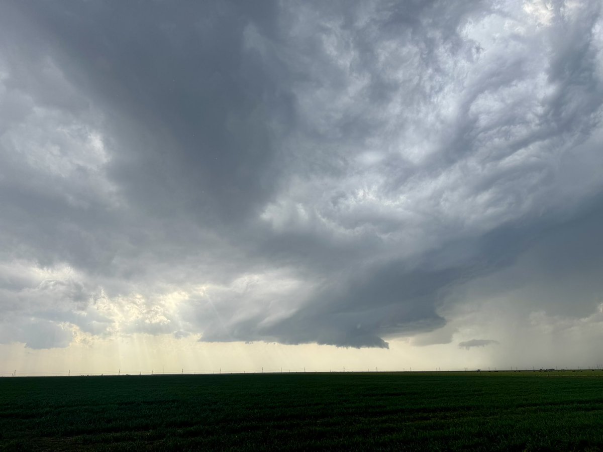 Nick DiFiglia 🌪️ tweet media