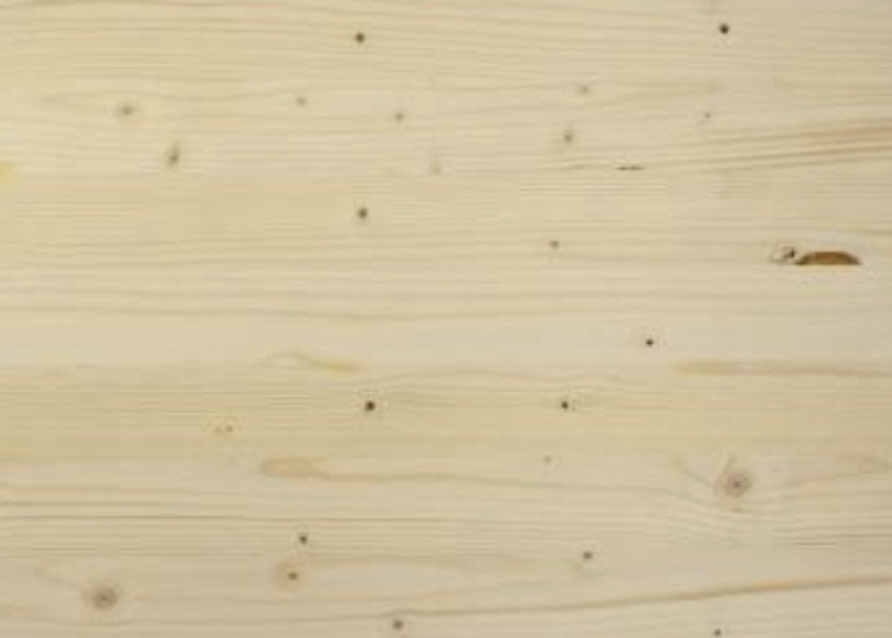 Chichi #Trautmann2026 tweet media