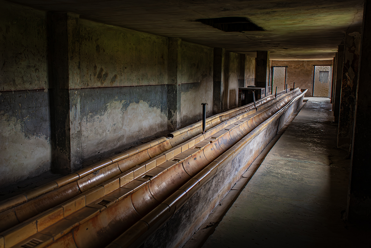 Duncan Bennett tweet media