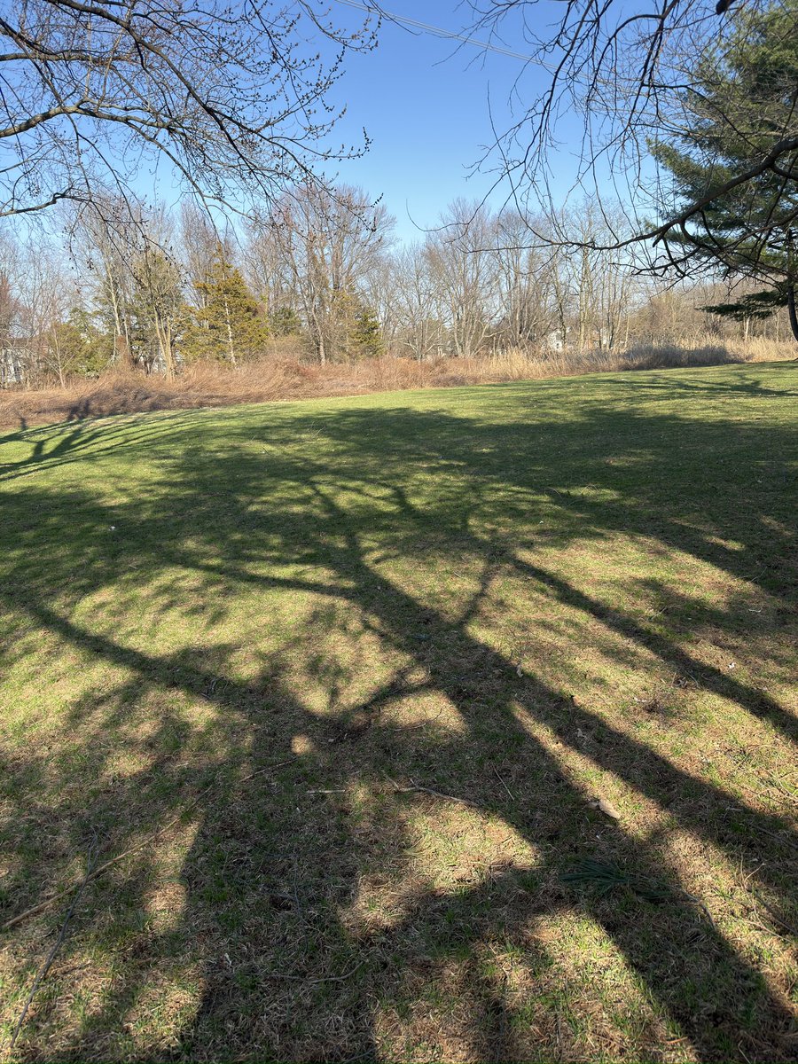 SIL 🌕💦 tweet media