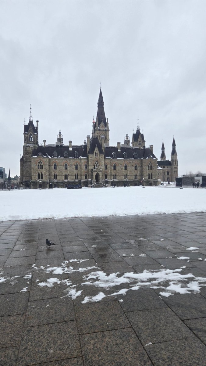 Nick Small 🇨🇦 tweet media