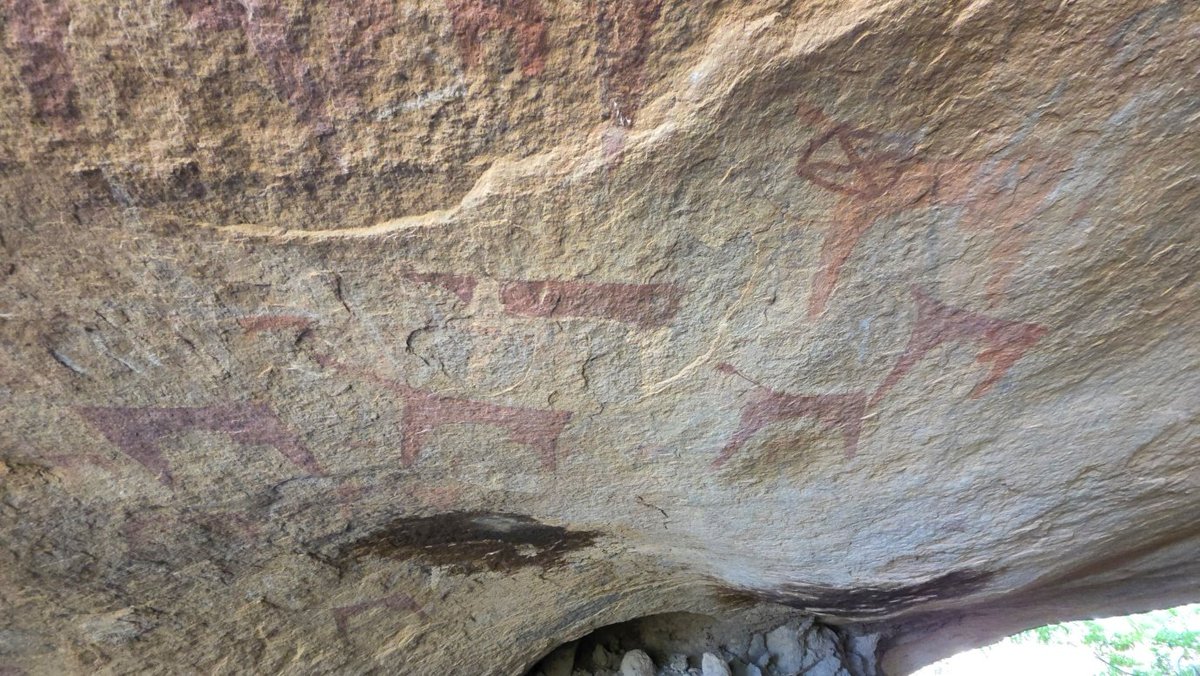 Aw Qadar tweet media