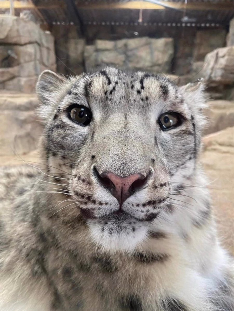 Prince J 🐈 tweet media