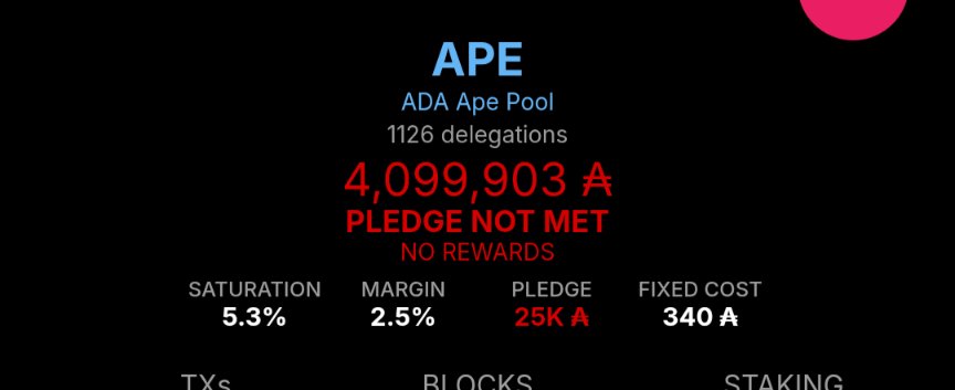 Robin - LACE pool tweet media