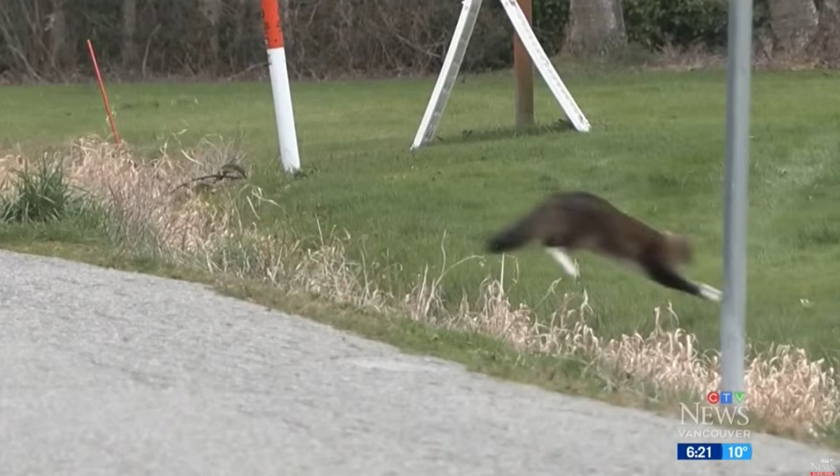 🔥JUAN🔥 tweet media