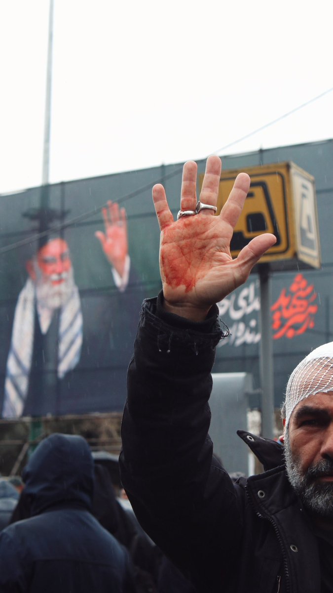 Arya Yadeghaar tweet media