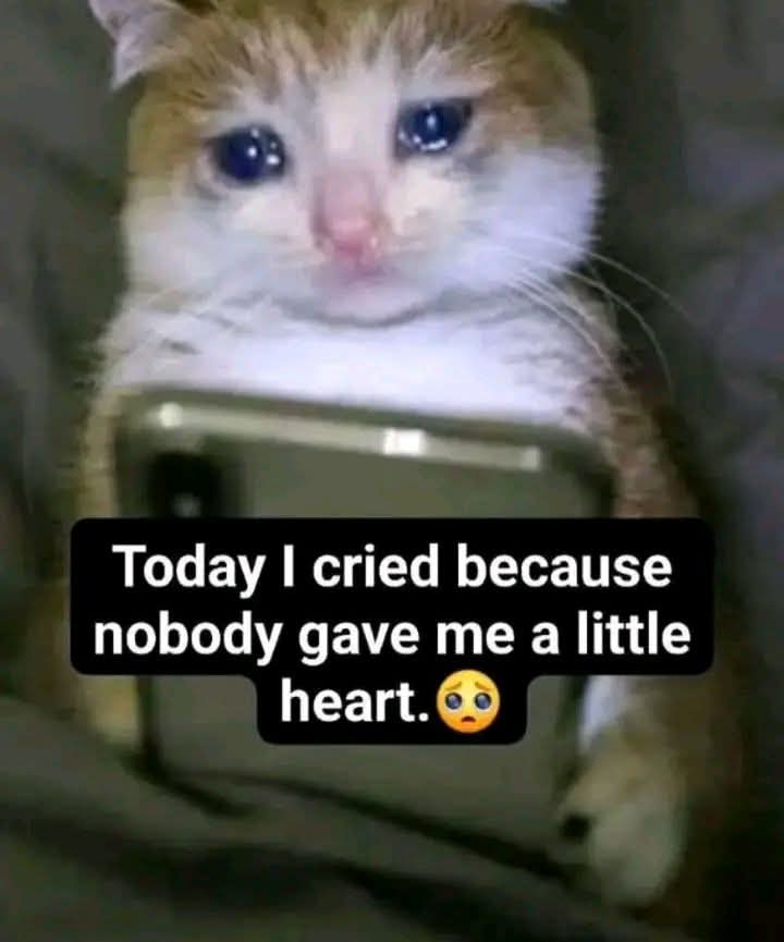 Elizabeth❣️ tweet media