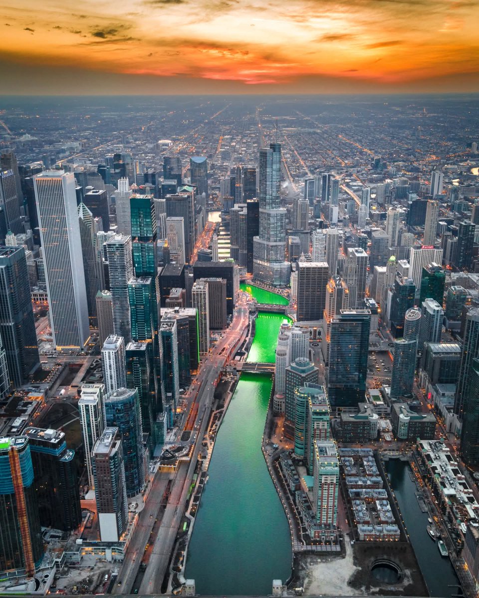 Wildscape Wonders tweet media