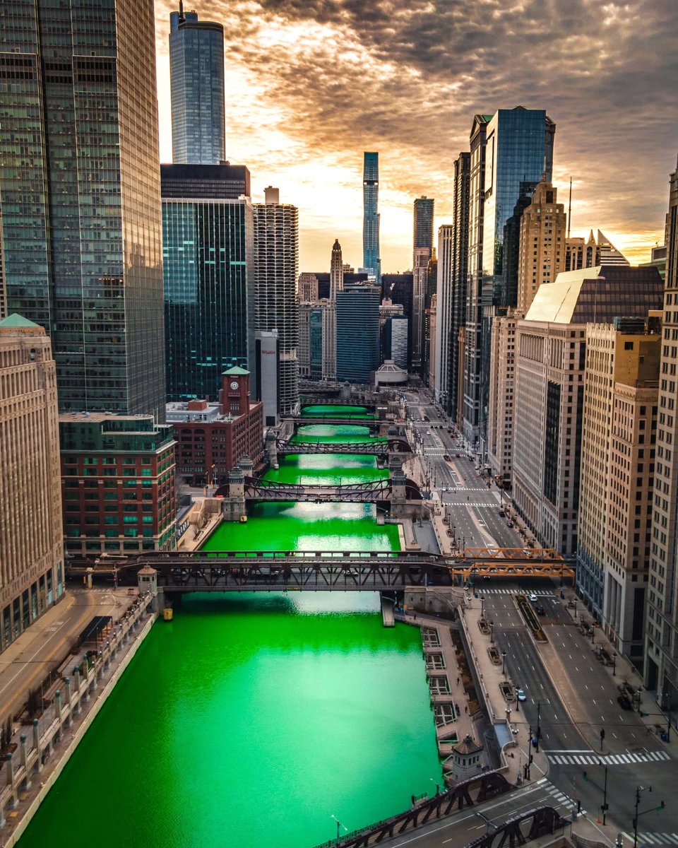 Wildscape Wonders tweet media