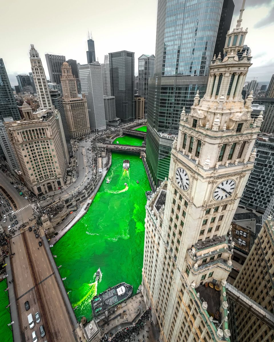 Wildscape Wonders tweet media