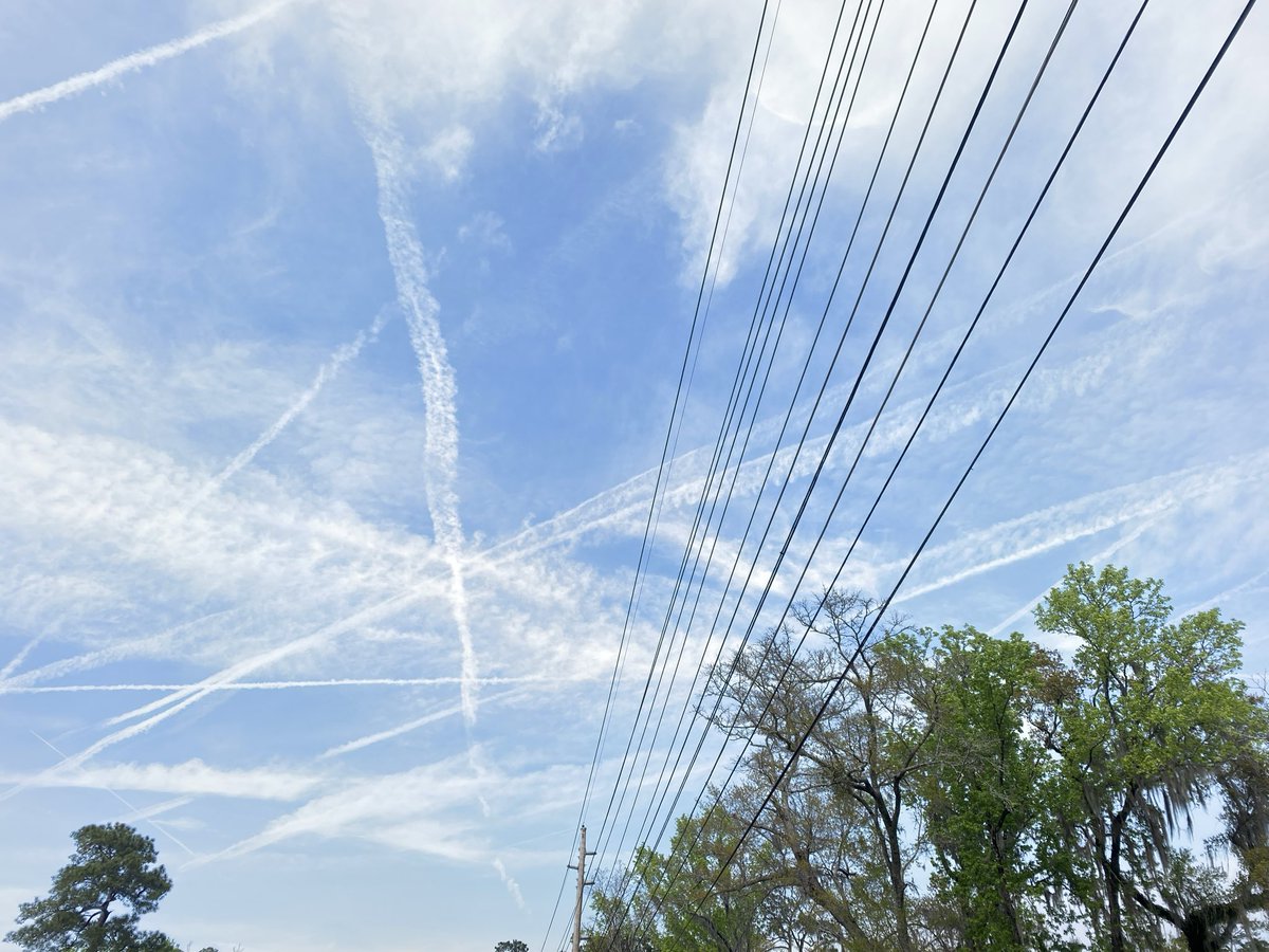 Jyl Ferris tweet media