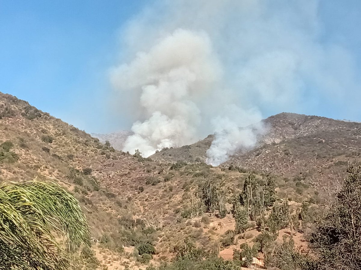 INF0SCHILE's tweet image. ⚠️#Olmué 🔥#I.F Con Avancé Rápido, Quebrada Alvarado. @BomberosdeChile