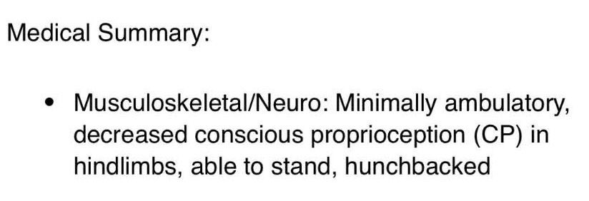 @PawsnTails4TX 🇺🇸🇺🇸🐾🐾 tweet media