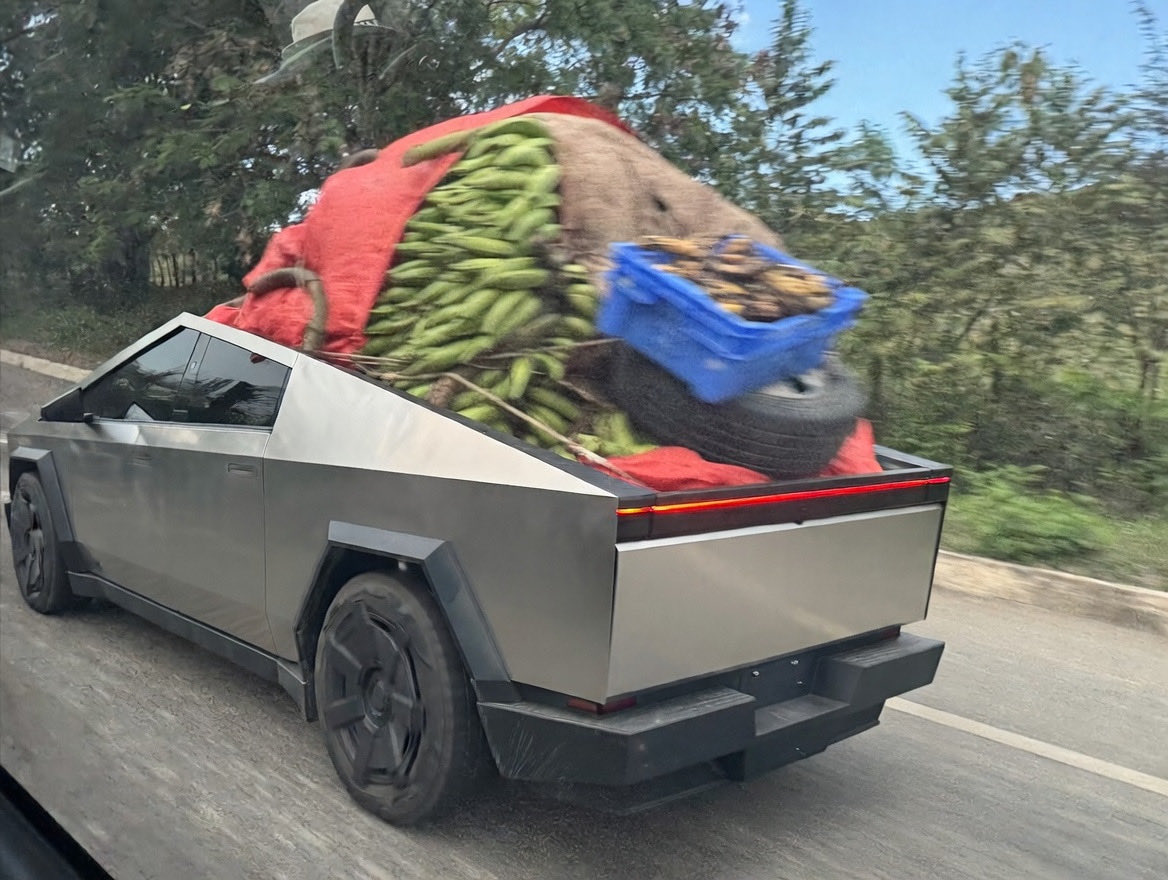 Optima_42 tweet media