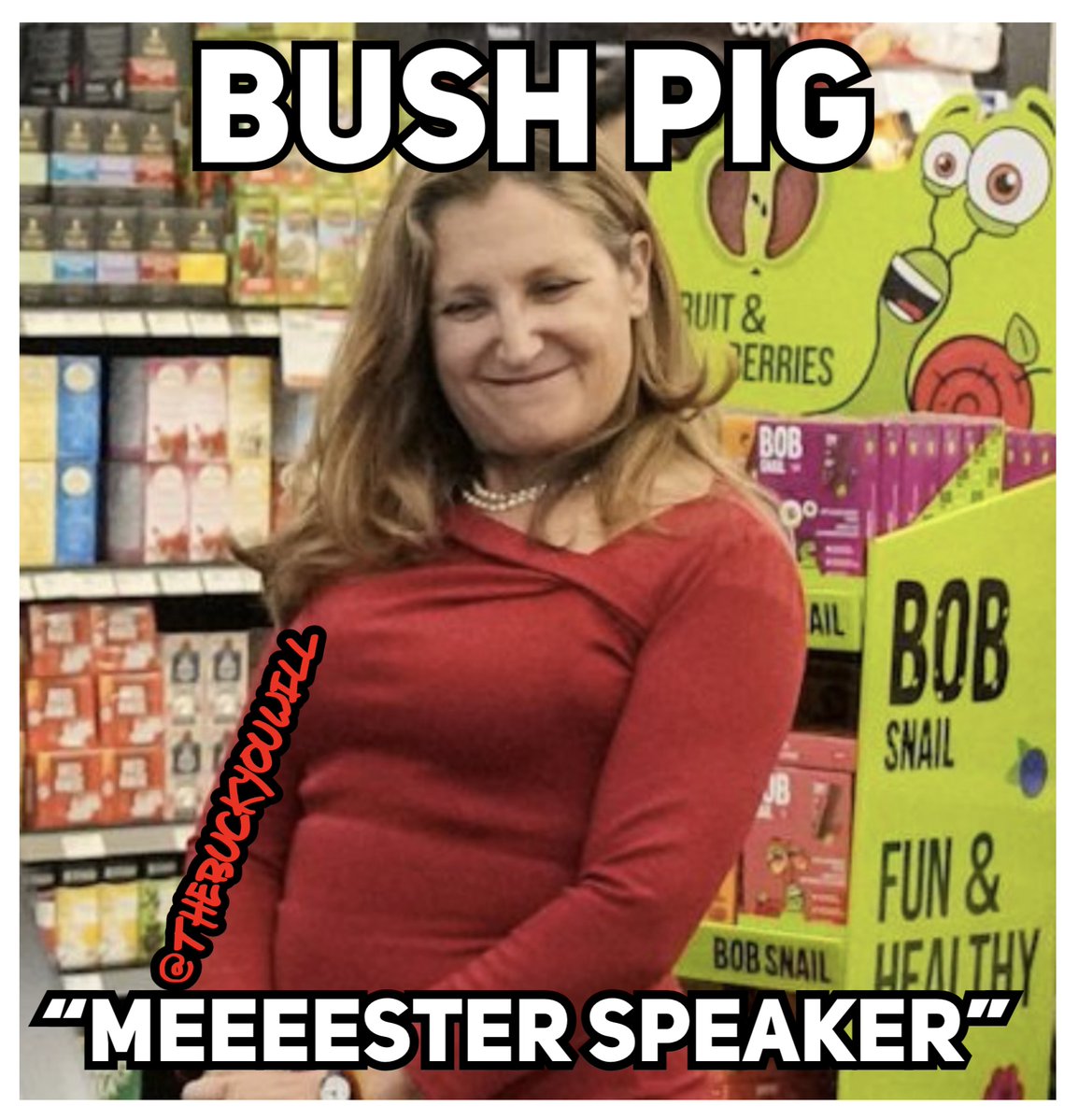 The Buck You Will tweet media