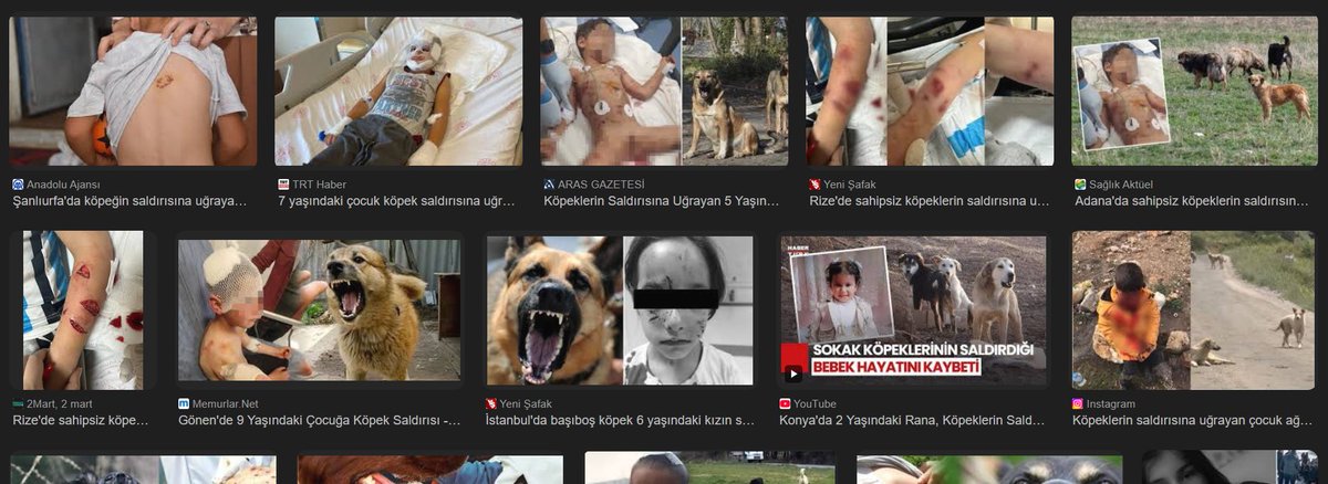 özgür barut tweet media