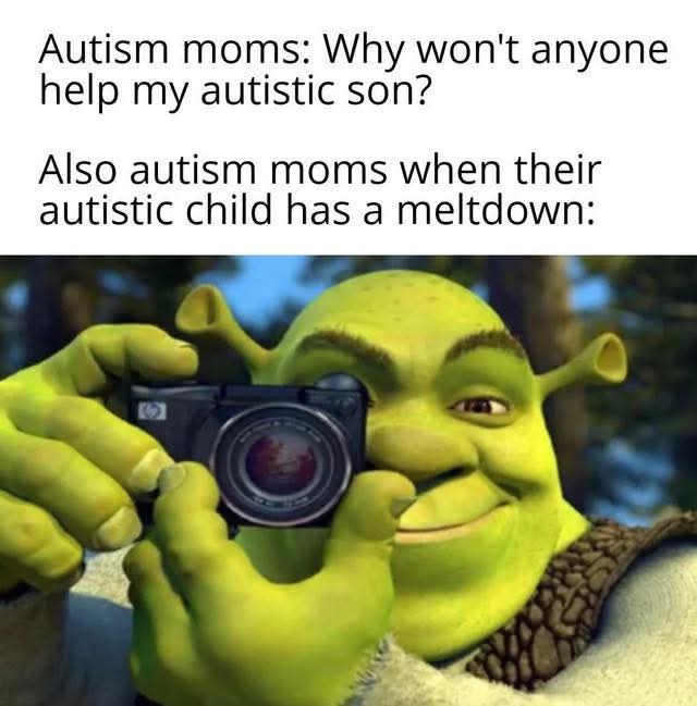 No Nonsense Neurodivergent tweet media