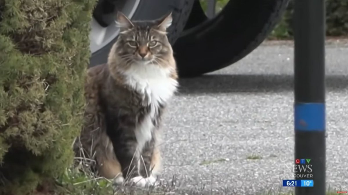 🔥JUAN🔥 tweet media