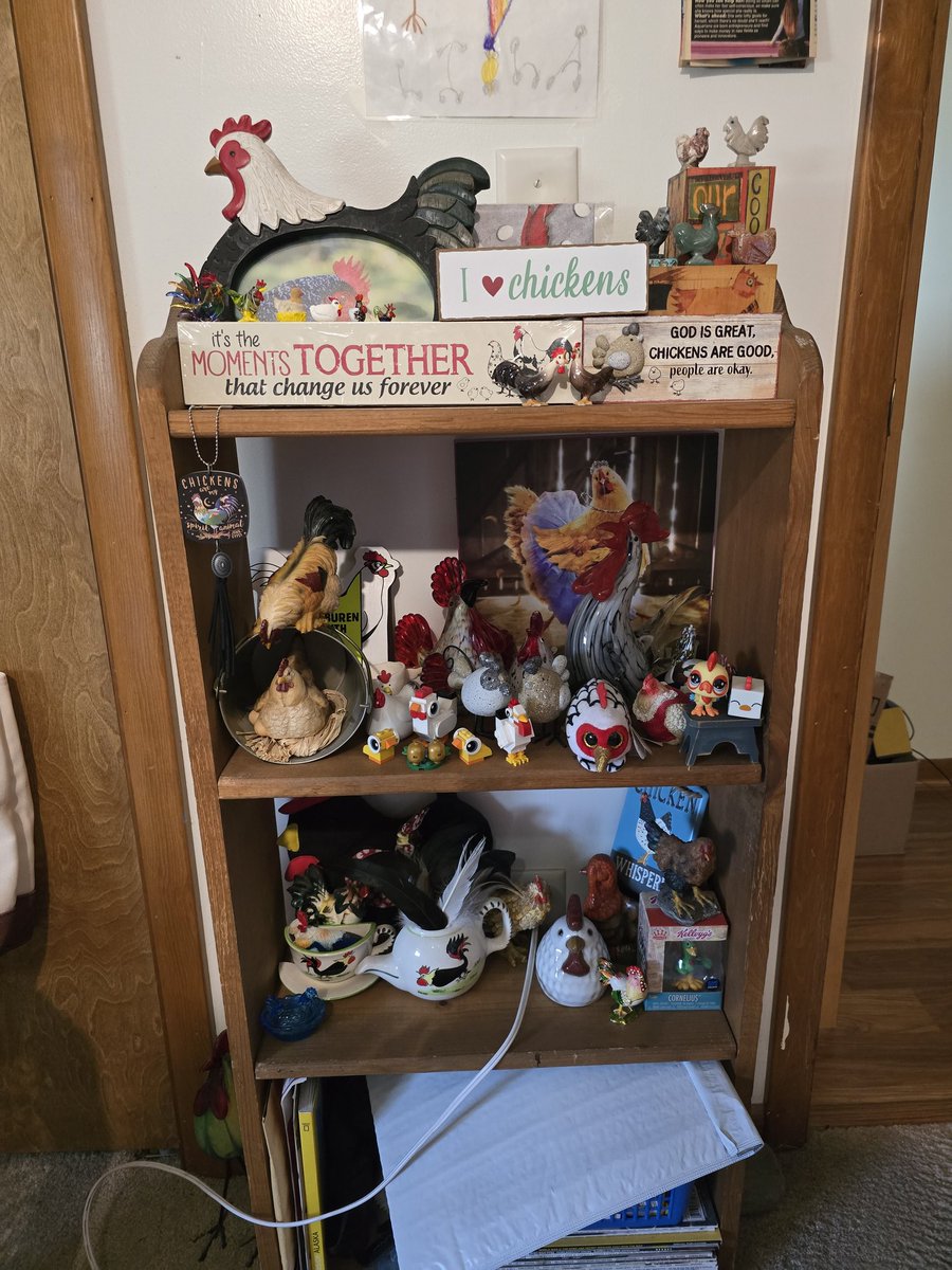 🐓Crazy Chicken Lady🐓 tweet media