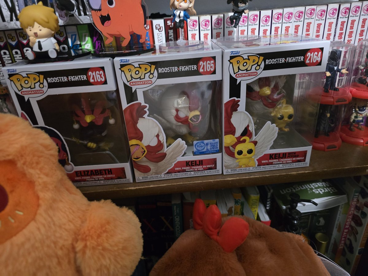 🐓Crazy Chicken Lady🐓 tweet media