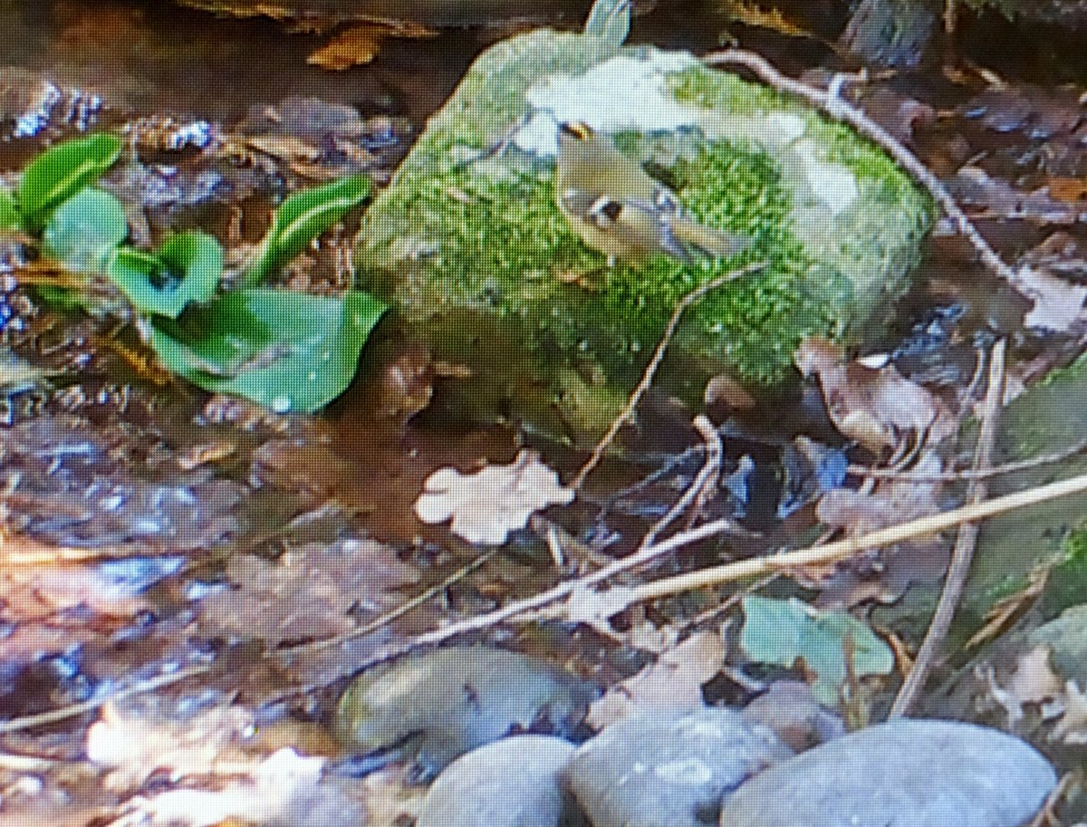 David Turner tweet media