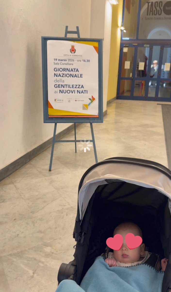 Sofi D’alesio tweet media