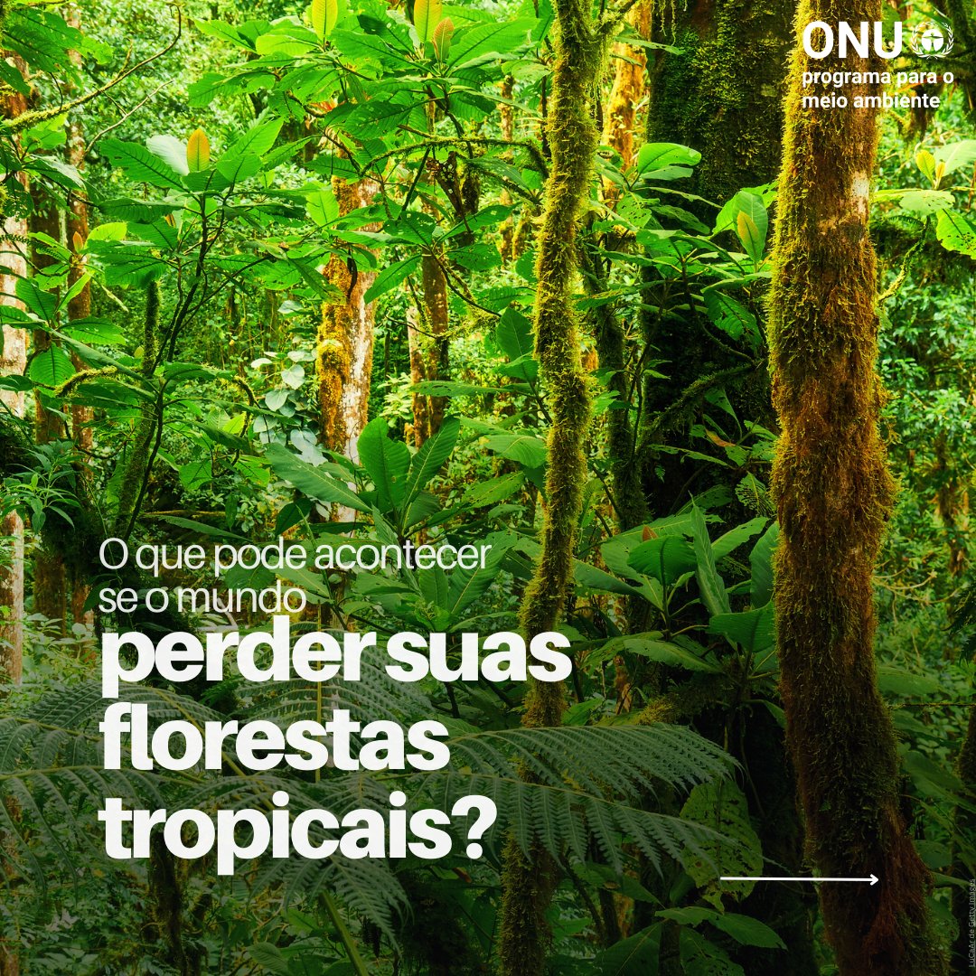 Programa da ONU para o Meio Ambiente tweet media