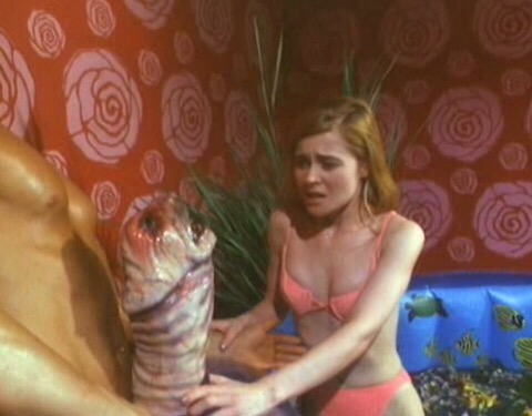 Max Stolze tweet media