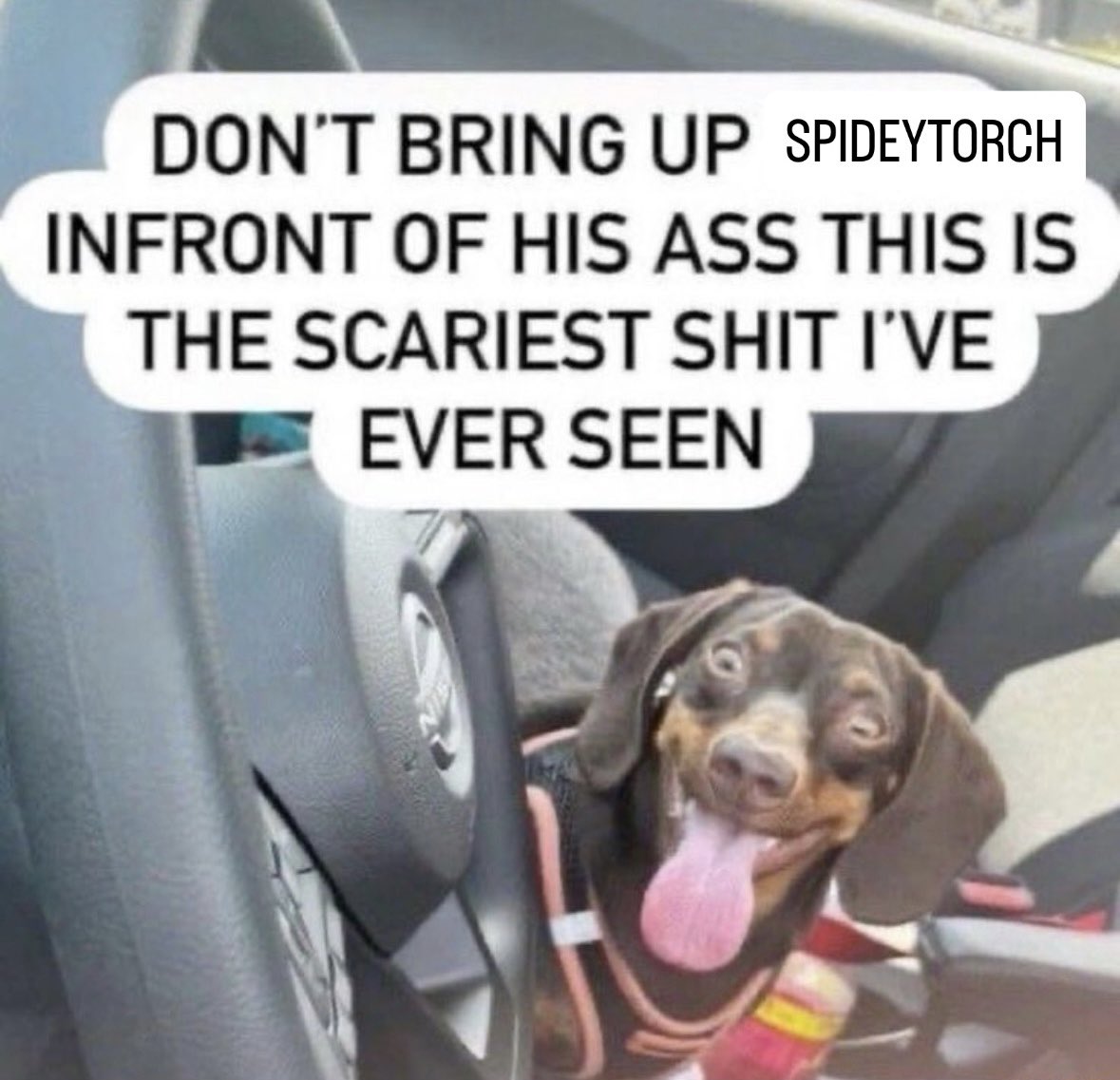 What Are Spideytorch Doing? tweet media