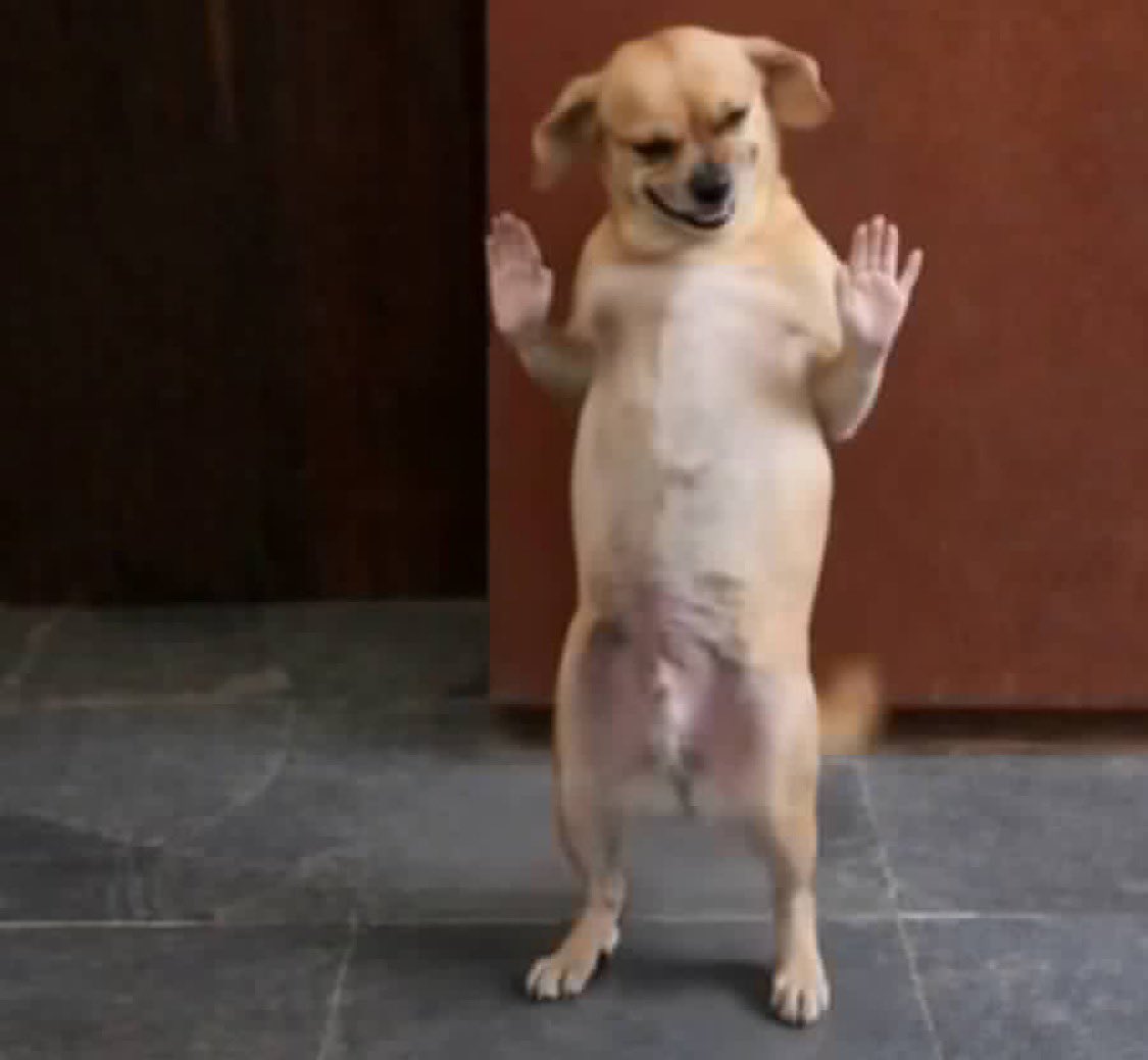 Saint 🐃 tweet media