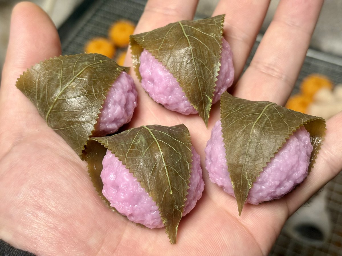 新商品です。
小さめ桜餅🌸
山口に少し持っていきます。
#食品サンプル #fakefood #山口きららハンドメイドマーケット #食べれません