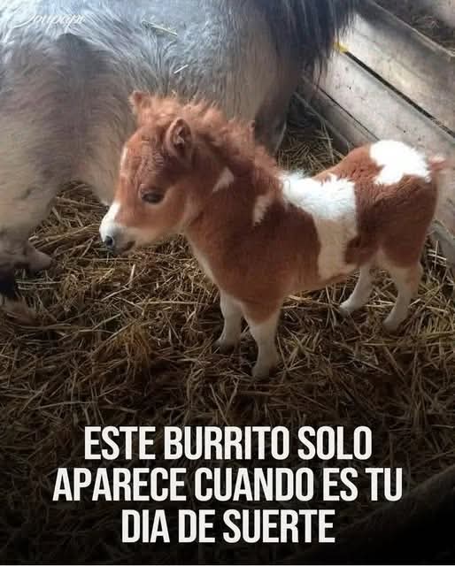 Emily Smile 🌠 tweet media