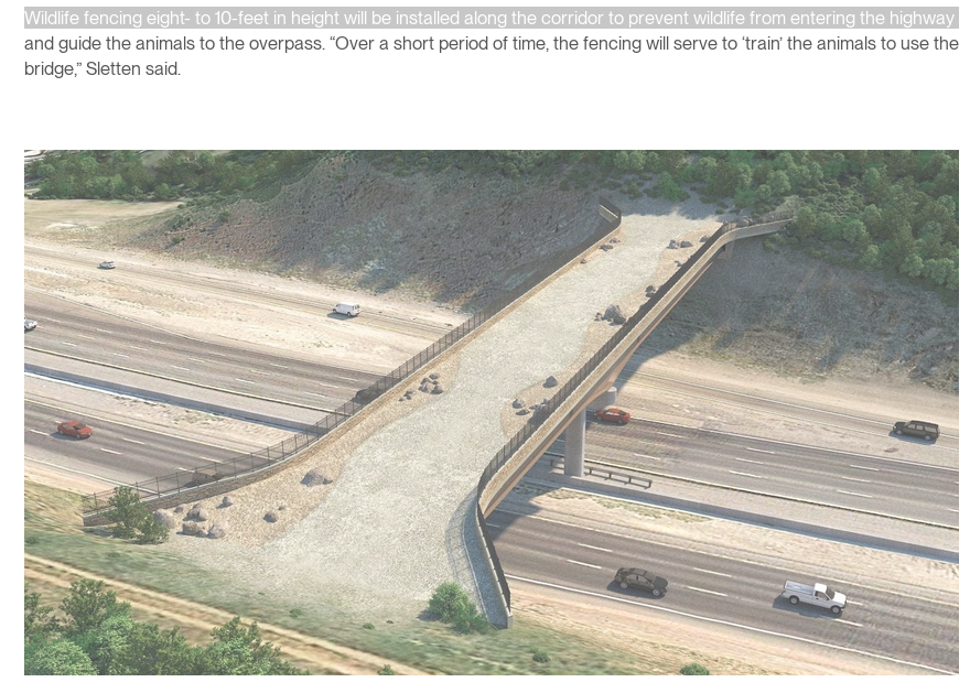 icpolicy tweet media