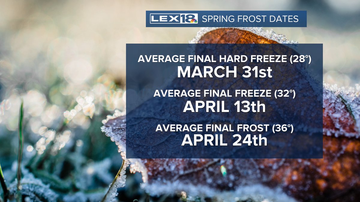 Bill Meck tweet media