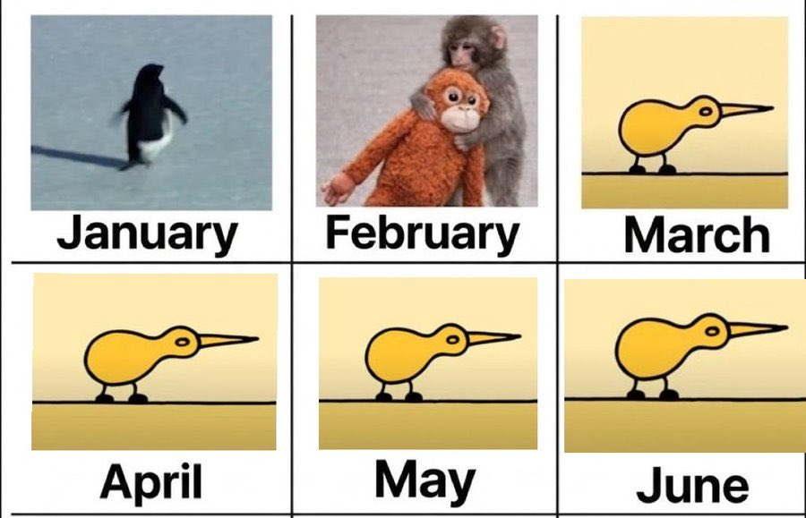 CHRIS🐼 tweet media