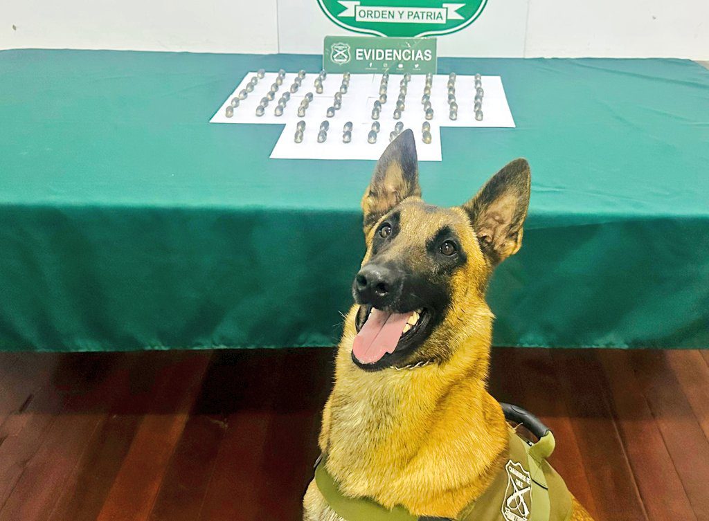 Mi Radio tweet media