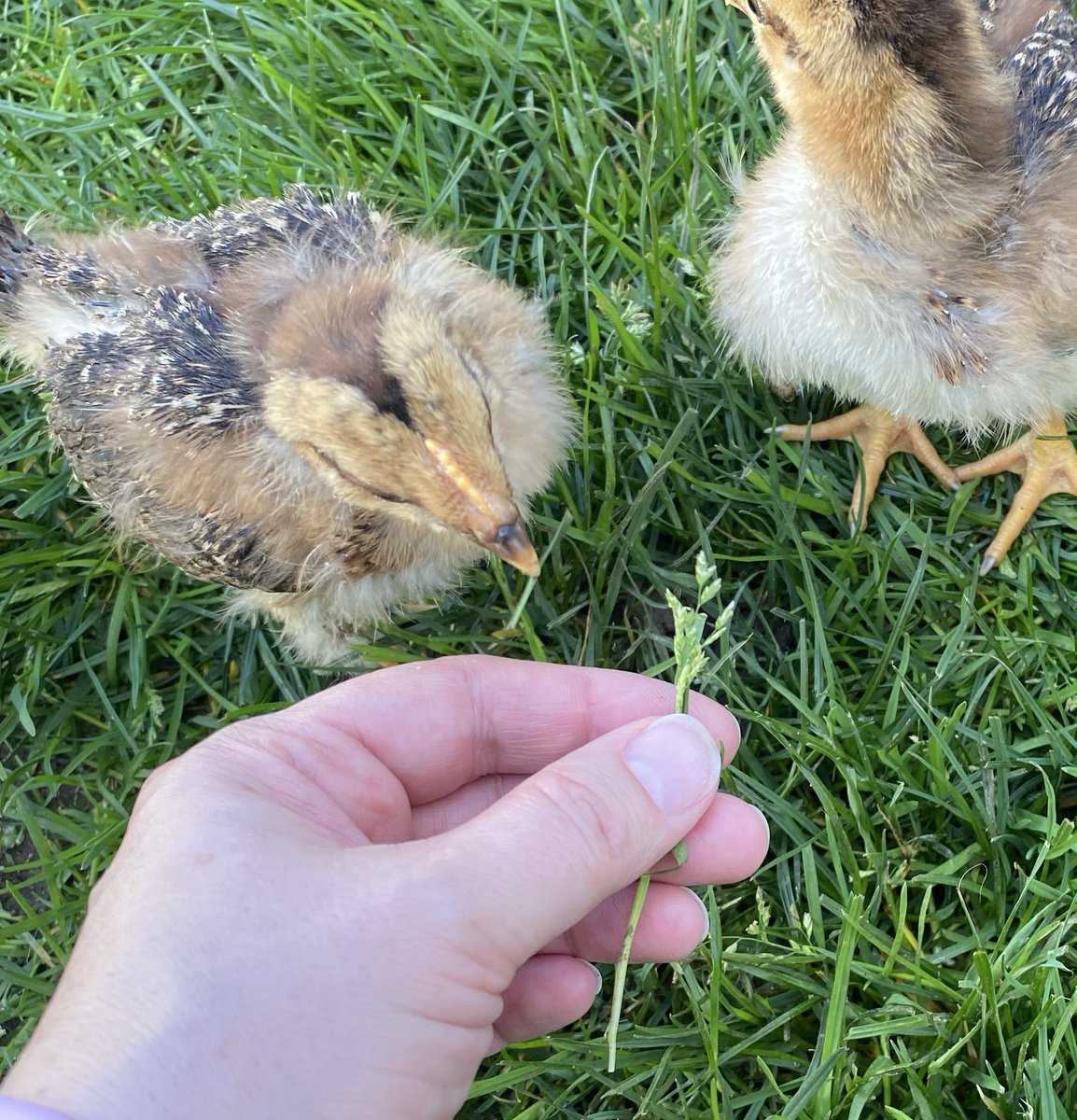 Lurkerwaves tweet media