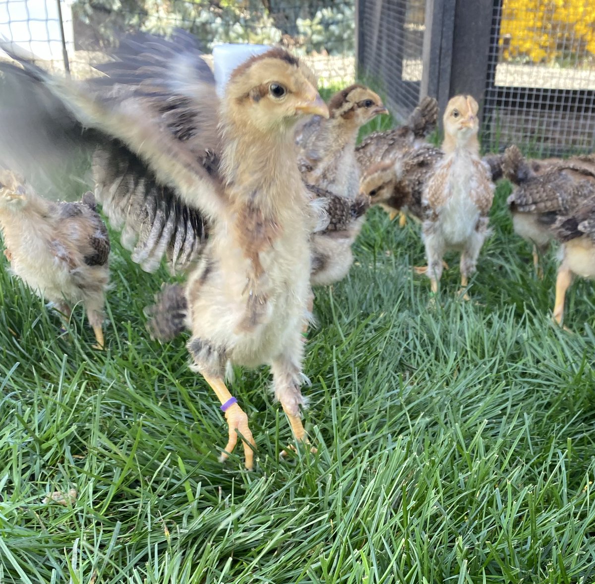 Lurkerwaves tweet media