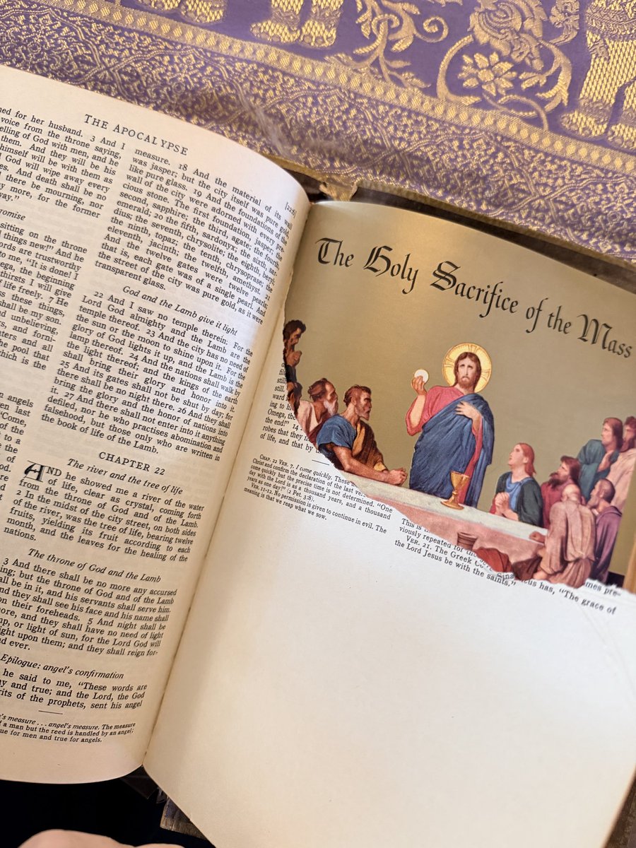 MaryCate Delvey tweet media