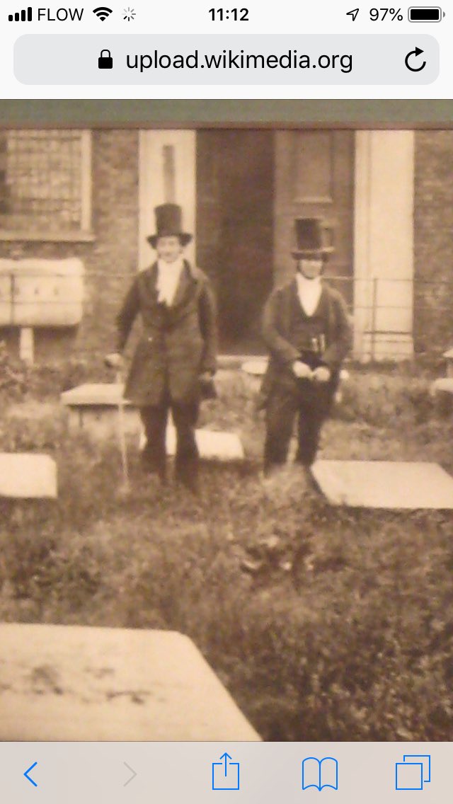 Alicia Hayes tweet media