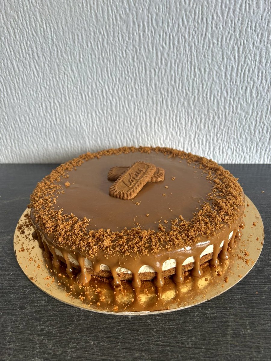 🇲🇦⭐️⭐️ tweet media