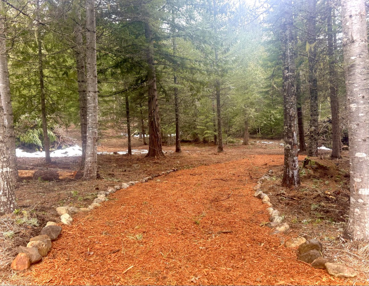 Owen Benjamin 🐻 tweet media