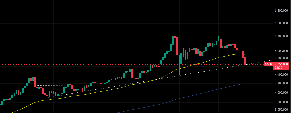 The Liberty Offensive tweet media