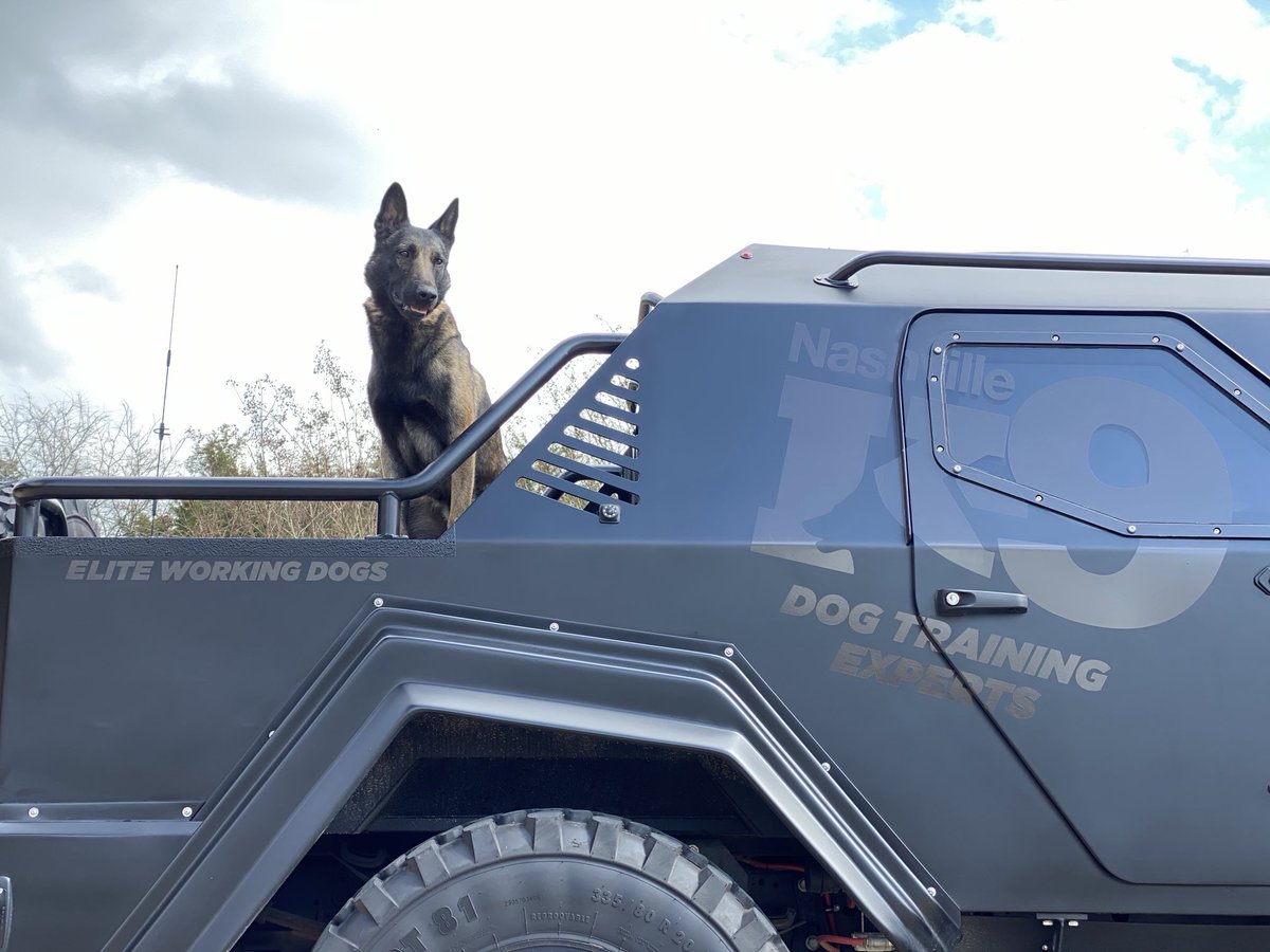 Nashville K-9 tweet media