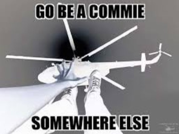 Robert Davie tweet media