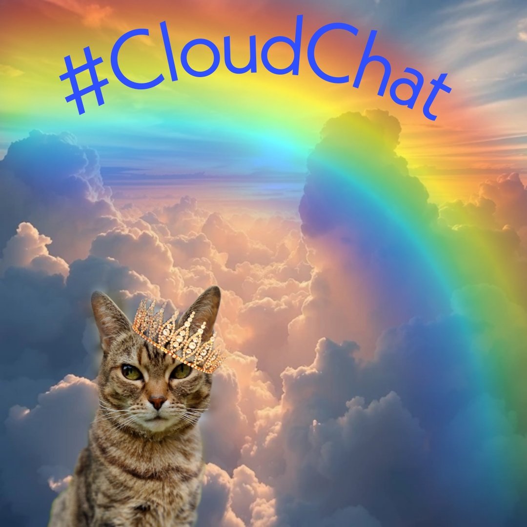 Princess Amy 🌈 👑🌻🧡🐒🐸🌿 tweet media