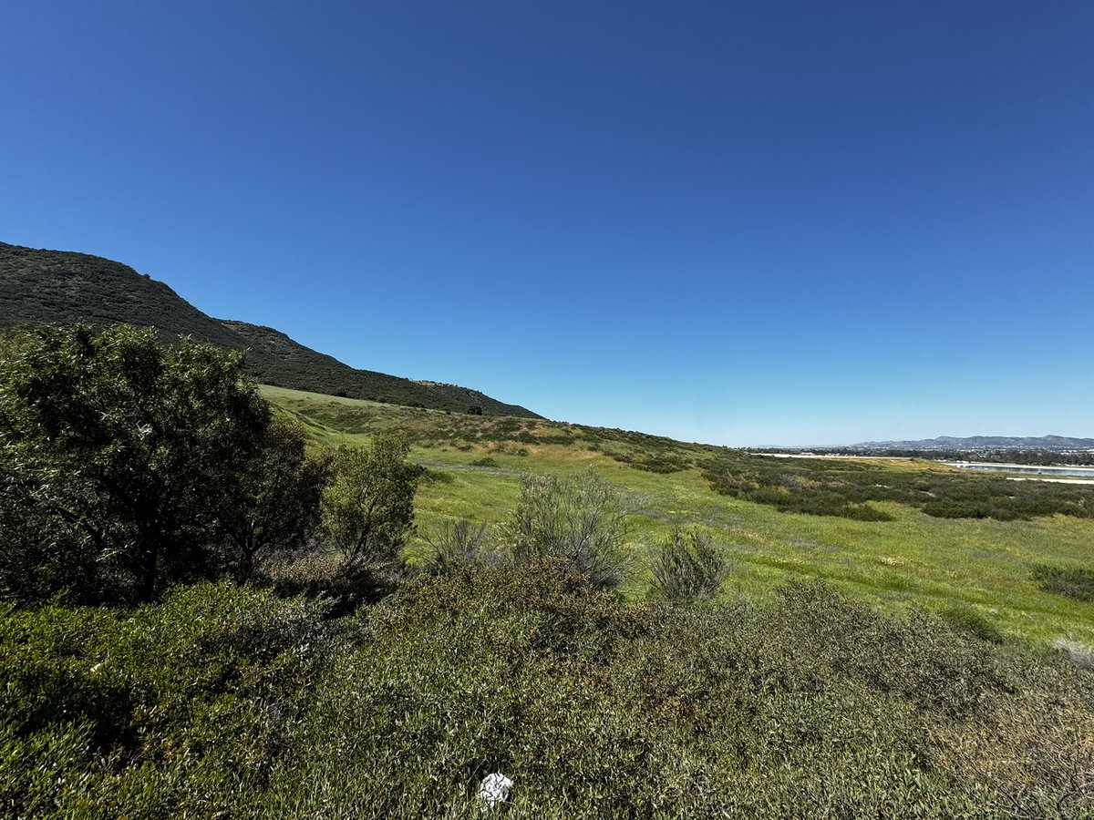 📝 Your Pal, Spes tweet media