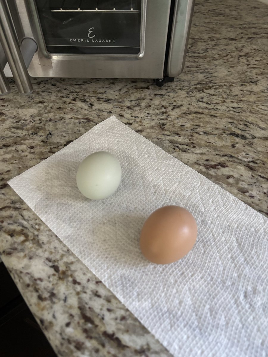 Amanda Miller tweet media